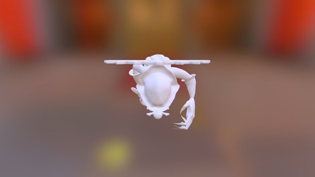 Disfraz Pirata 3D Model
