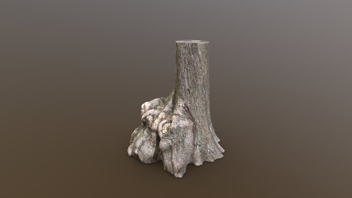 Bald Cypress w/ a Huge Burl – Modèle 3D gratuit STL
