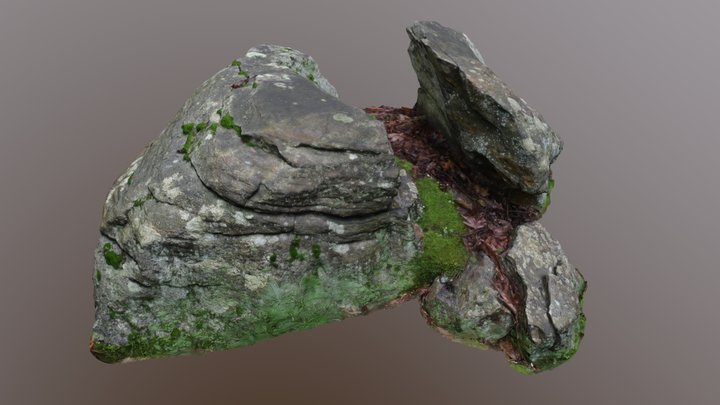 190718_pine_meadow_split_rock 3D Model