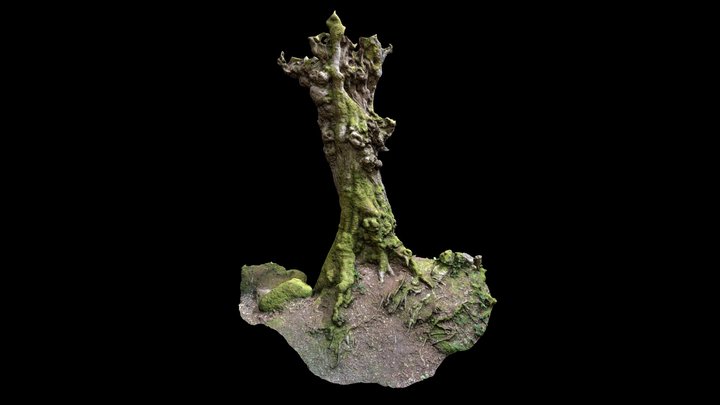 Large Dead Tree and Rock outcrop_Devon forest_UK 3D Model