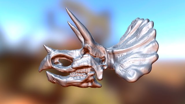Triceratops Skull 3D Model