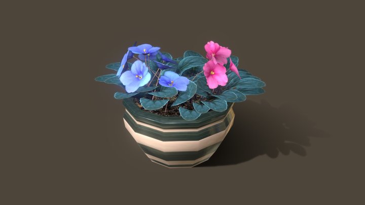 Saintpaulia flowers low-poly 3D Model
