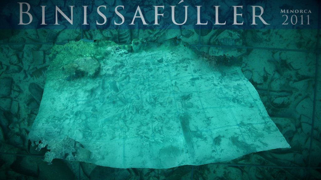 Binissafúller 2011