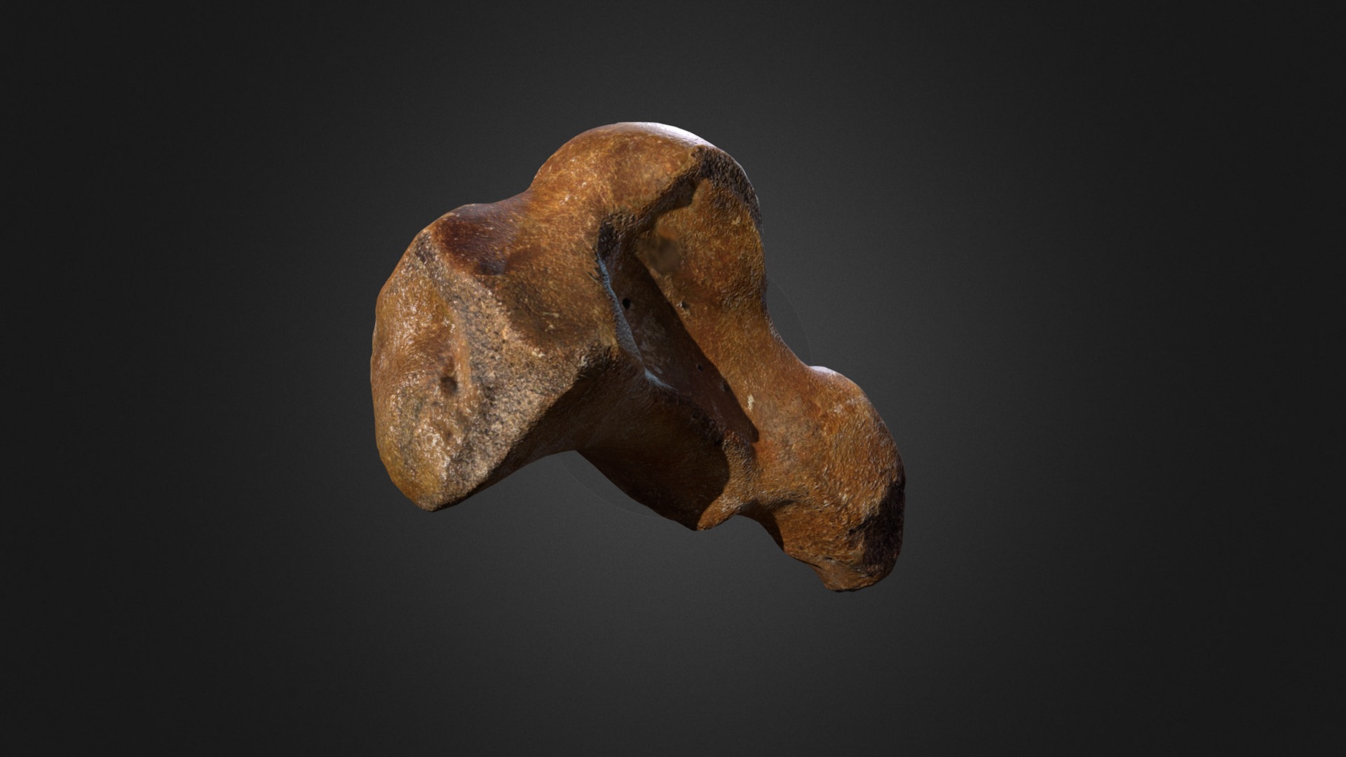 3D model Woolly Rhino Wristbone - This is a 3D model of the Woolly Rhino Wristbone. The 3D model is about a brown and black object.
