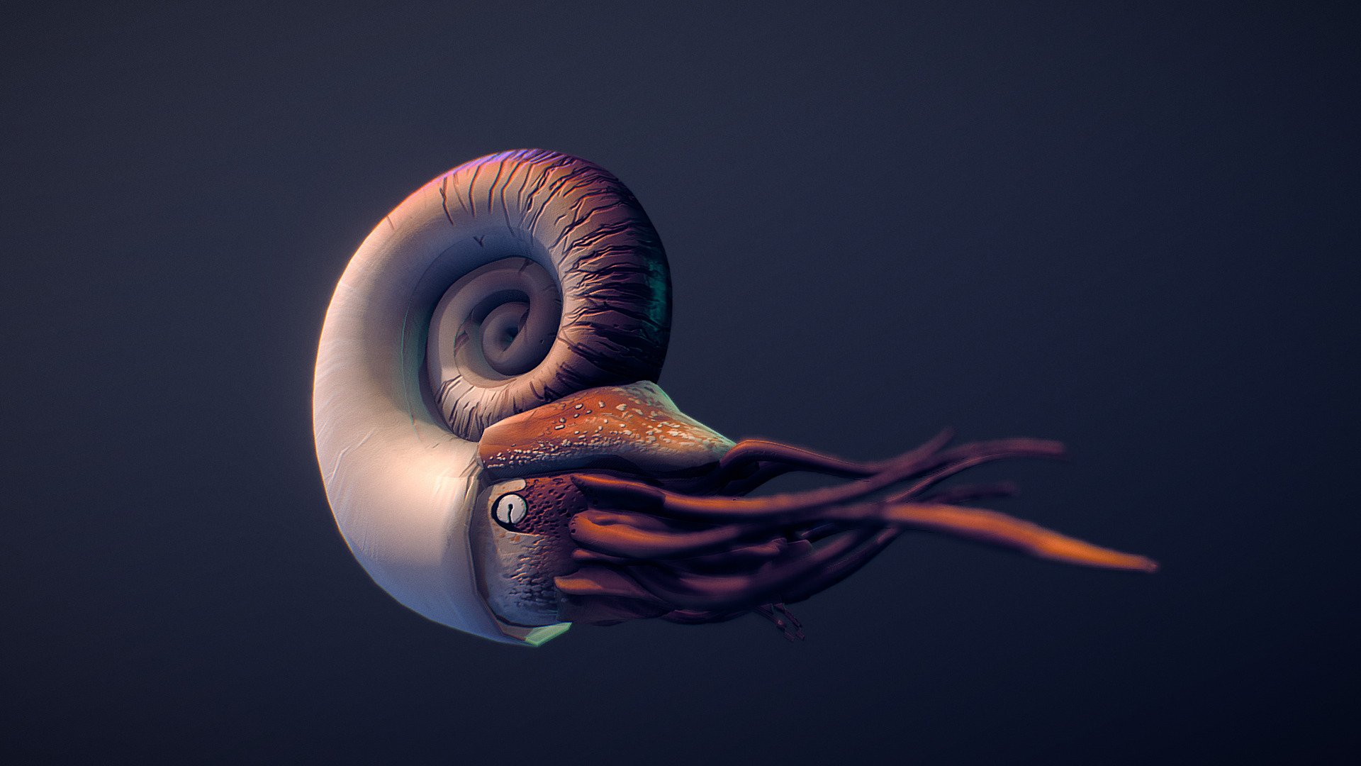 Ammonite — Sketchfab embed 3D viewer