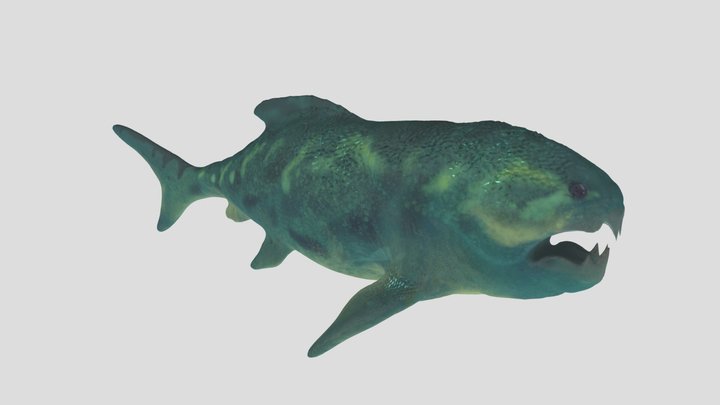 Dunkleosteus 3D Model