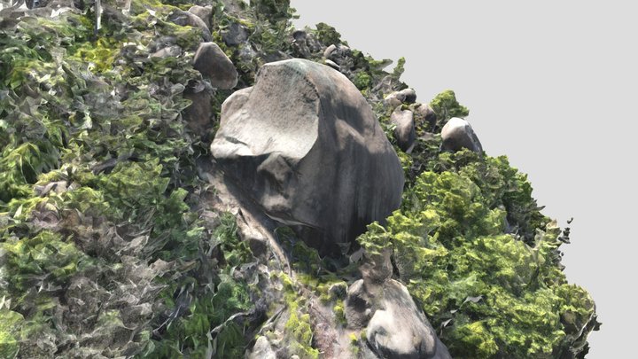 甲山刻印群A地区２番石材（兵庫県西宮市　鍋島家石丁場） 3D Model