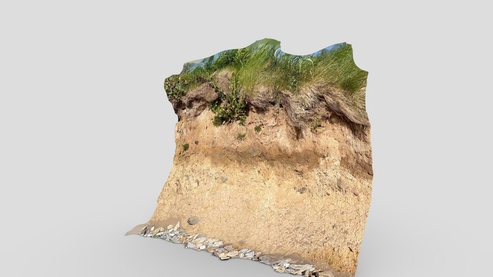 Curragh beach sediment section face. 3D Model