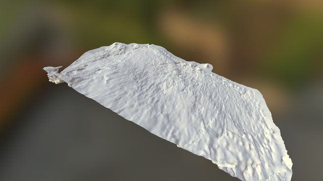 Moonraker Night Run (LaFarge) Left Camera Mesh 3D Model