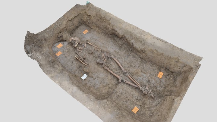 Skelet uit de vroege middeleeuwen 3D Model