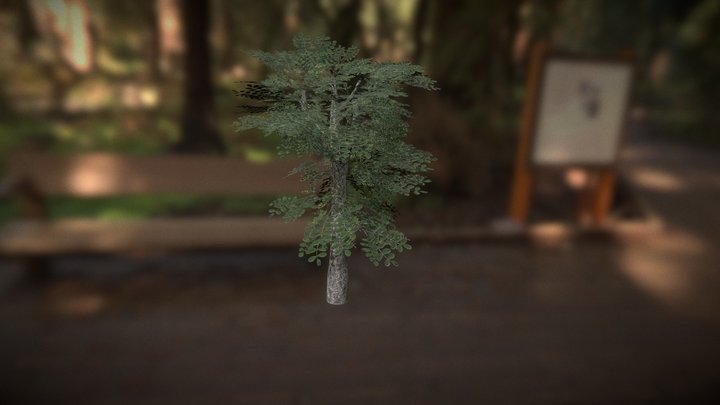 Low Poly Tree Model 3D Model