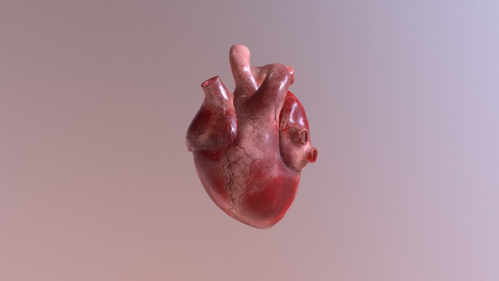 Human Heart - 3D model by Prashan [6f9c71d] - Sketchfab