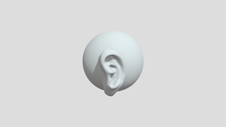 EAR 8 EXPORT 3D Model
