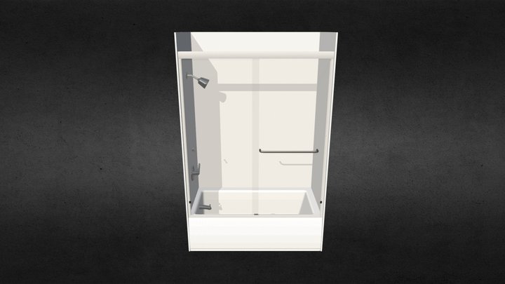 2 Panel Shower Door with Surround 3D Model