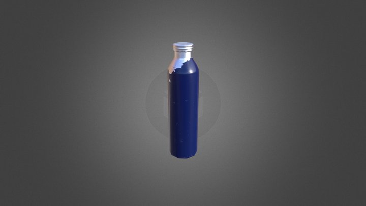 Blue Thermos 3D Model