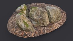 Mossy Rocky Ground