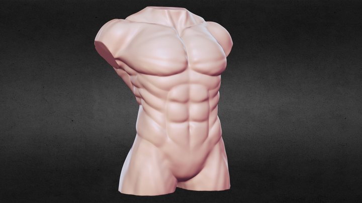 Male body Torso STL for 3D Print 3D Model