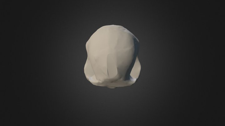 Australopithecus afarensis - Lucy 3D Model