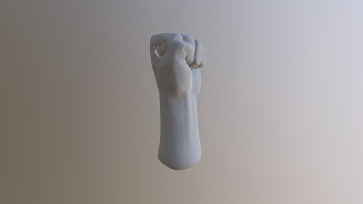 001 Fist 3D Model