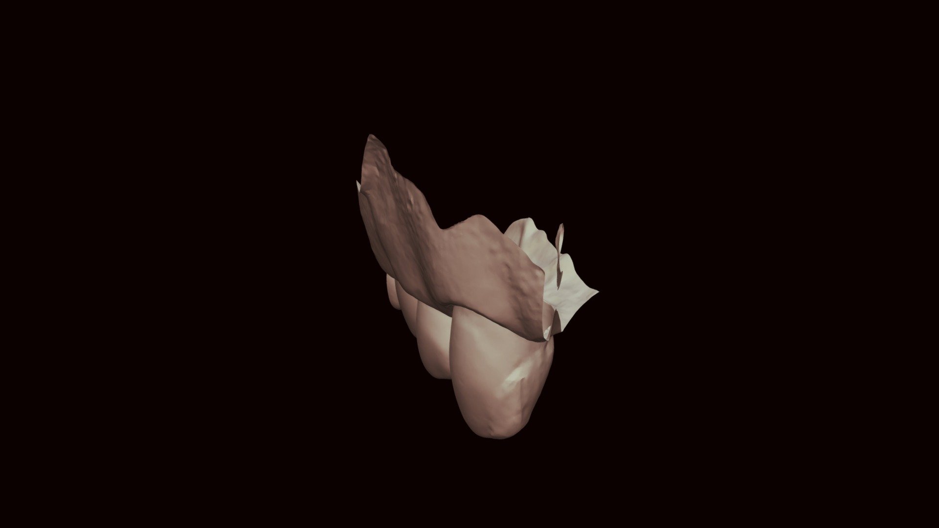 ML 5MOD Upper Jaw
