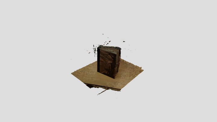 Book1 3D Model