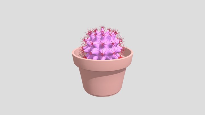 Cactus PR II 3D Model