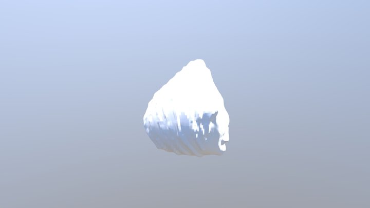 Sedimentary Rock 3D Model