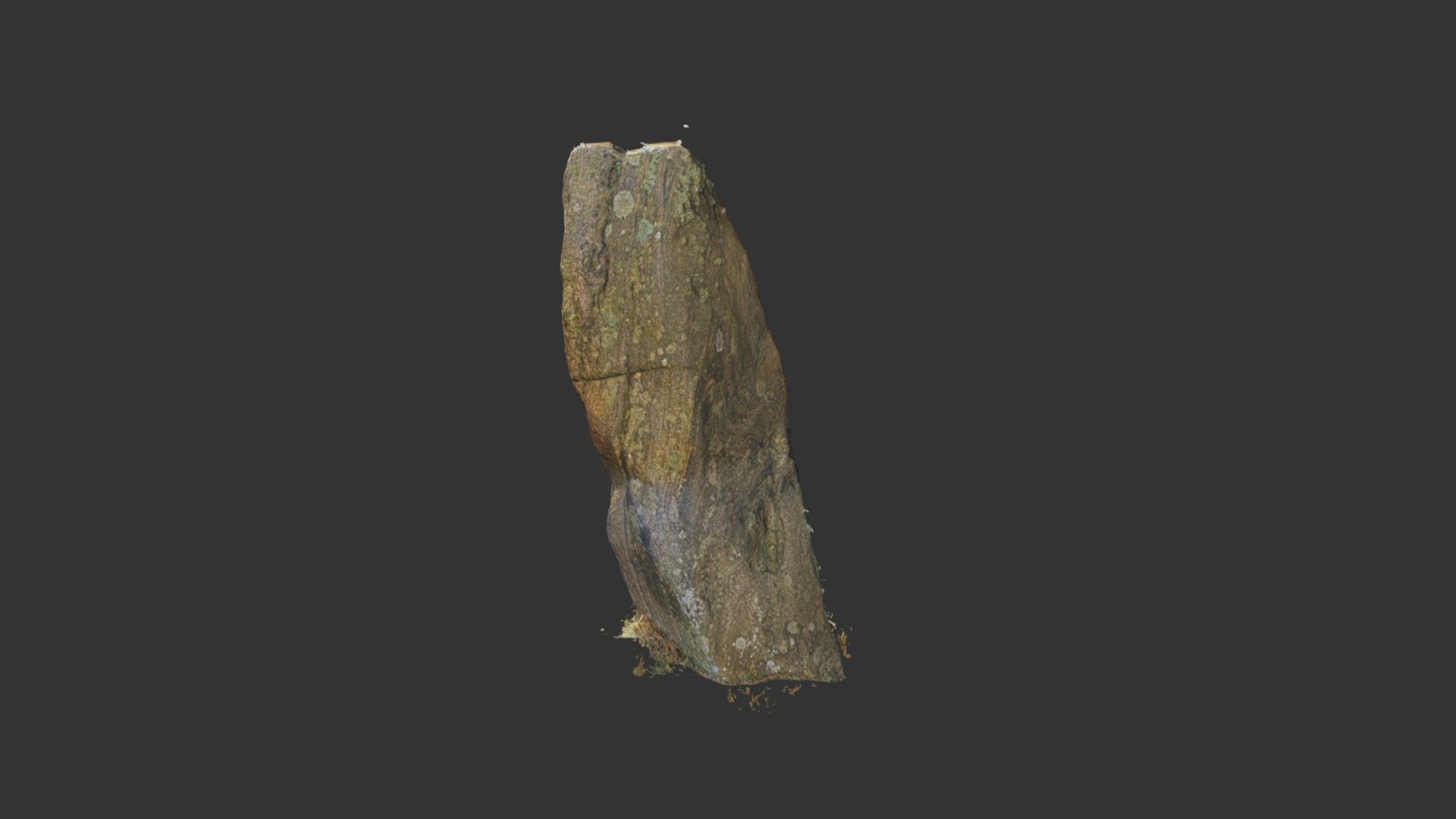 Callanish 03 Stone 04