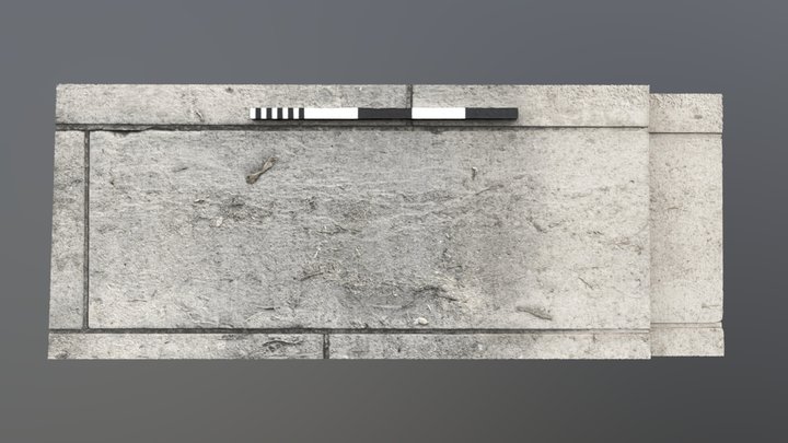 Fossil in outside walls of Senate House 3D Model