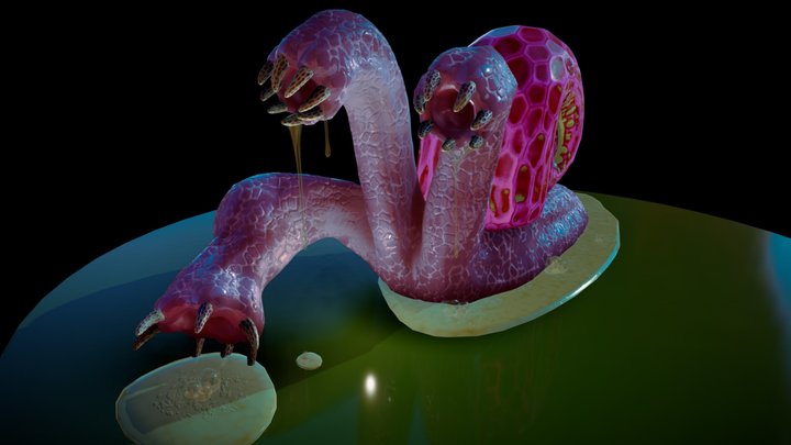 Snail Hydra 3D Model