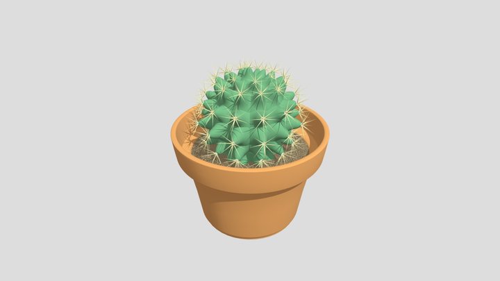 Cactus yeah 3D Model