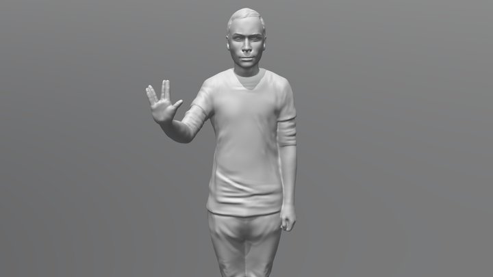 Sheldon Cooper for 3D printing 3D Model
