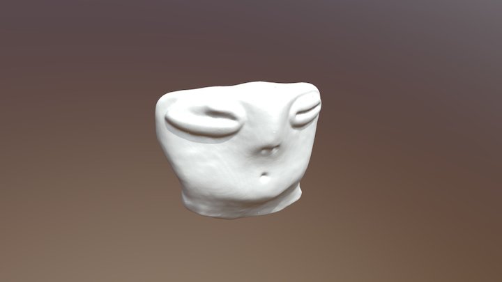 FS 6378- Artifact Scan 3D Model