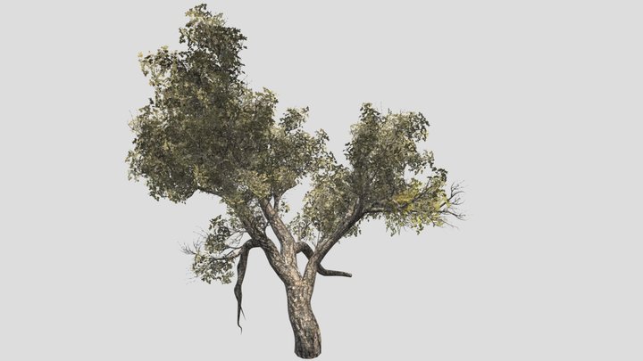 Tree (part9) – Modello 3D gratuito STL