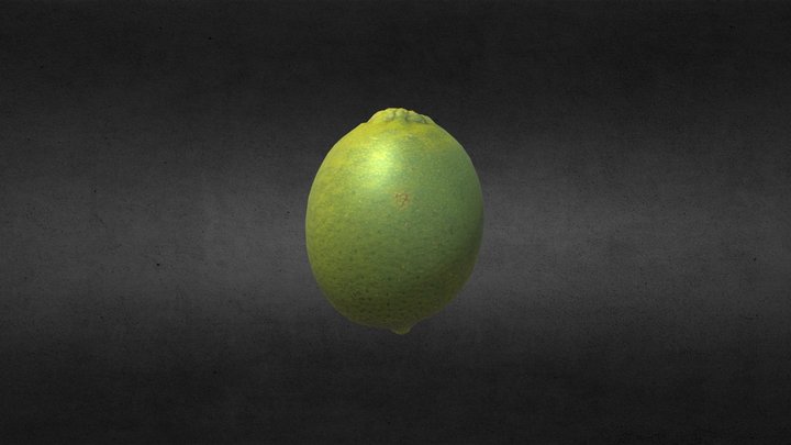 Lime 3D Model
