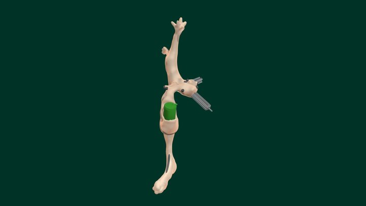 ScottyBoiV's Gonkle Command 3D Model
