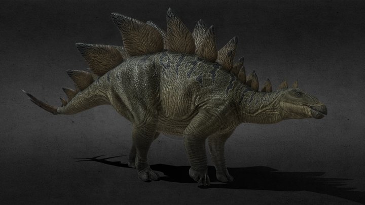 Stegosaurus 3D Model