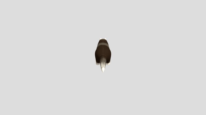 Ferret 3D Model