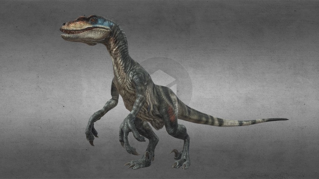 Idle JWR Velociraptor