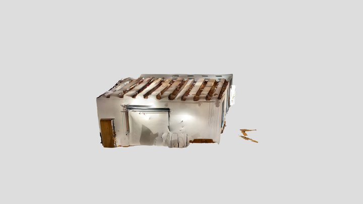 Untitled Scan 3D Model