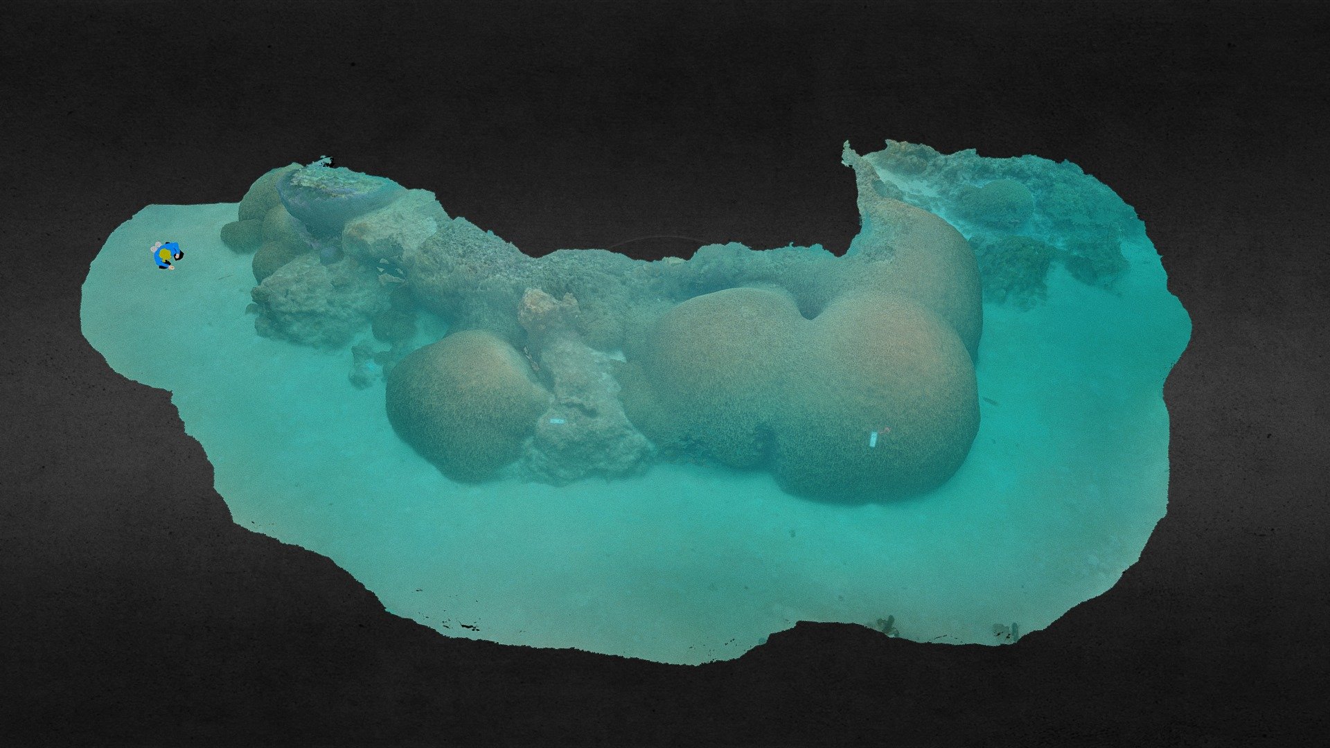 One Tree Island-Gutter Bommie (tag3D)