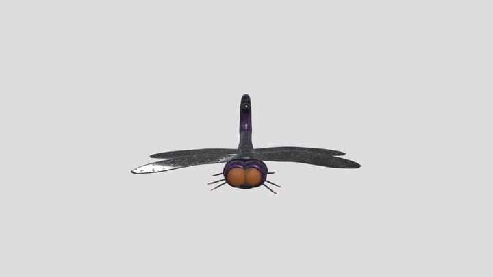 FBX_Model 3D Model