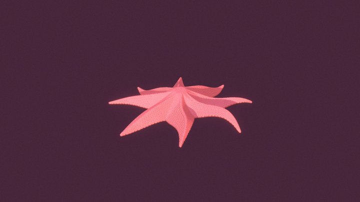Star by Magomet Tuskaev 3D Model