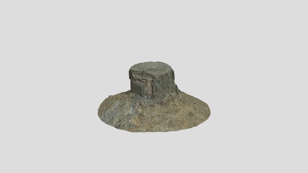 Pine Stump