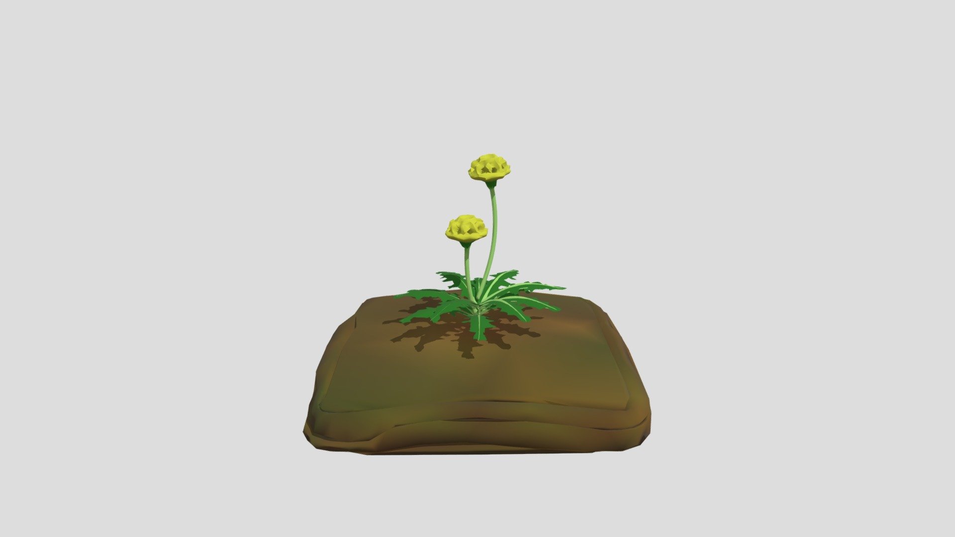 Poly Dandelion