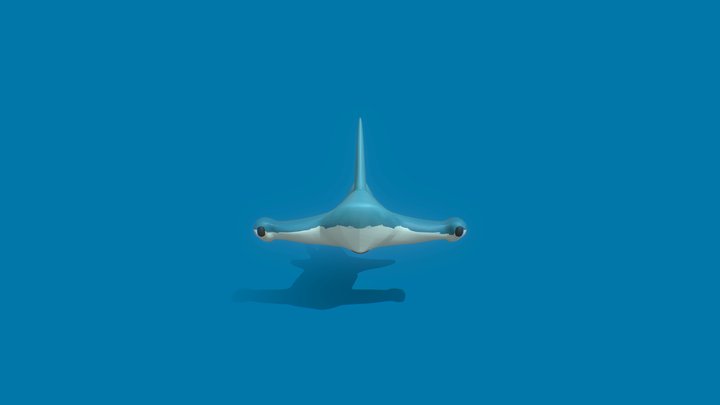 Cute Toon Shark 3D Model