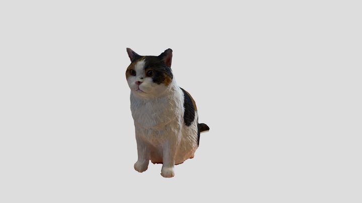 Dan Dan Cat 3D Model
