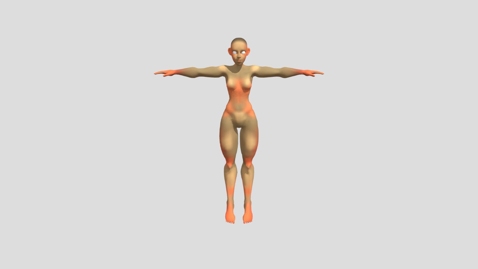Modelo Bípedo