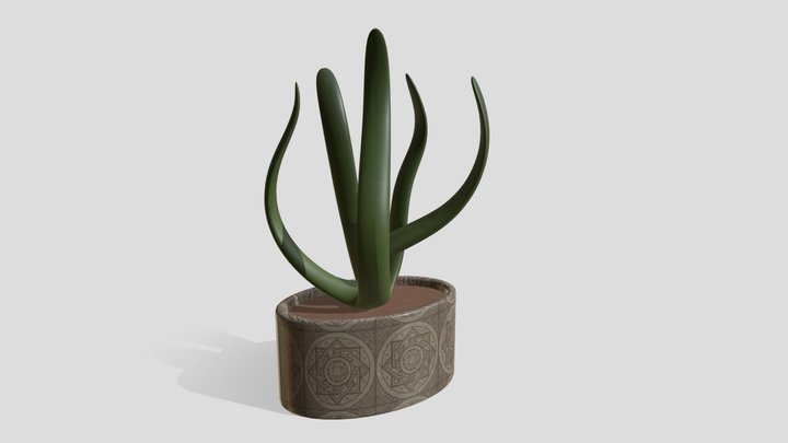 Checkley Abigail Wk8 Plant 3D Model