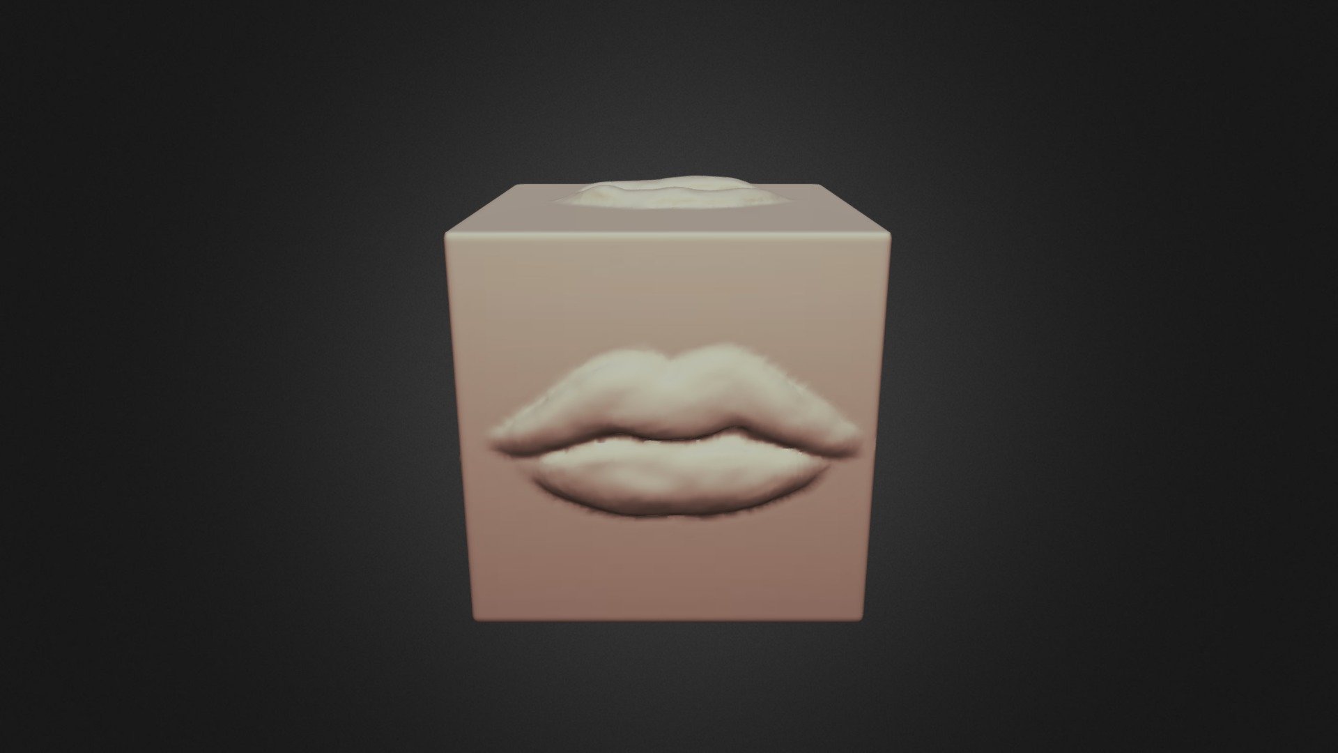 Lip Cube